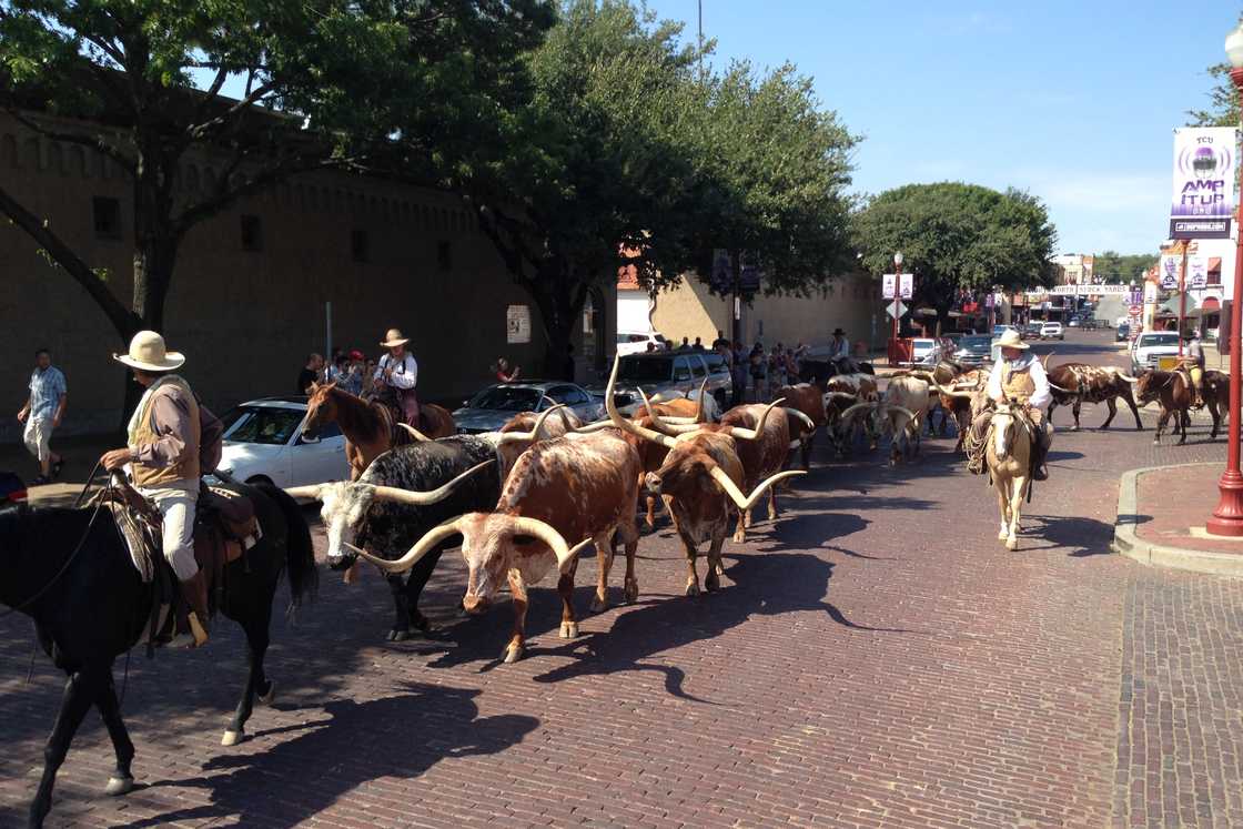 things to do in Fort Worth