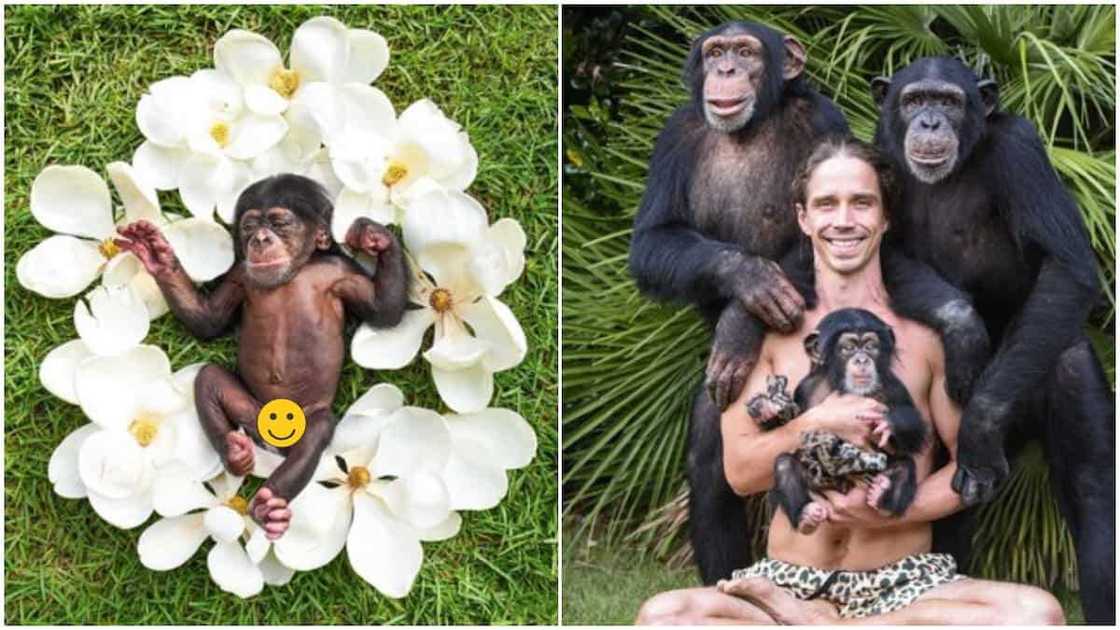 Man gives newborn monkey photoshoot as if it's human baby, photos causes frenzy online Man gives newborn monkey photoshoot as if it's human baby, photos causes frenzy online