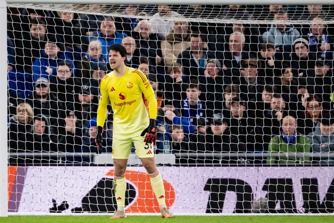 Manchester United beat Everton, Man United fans Senne Lammens, Senne Lammens joins Man United, Man United goalkeeper Manchester United beat Everton, Man United fans Senne Lammens, Senne Lammens joins Man United, Man United goalkeeper