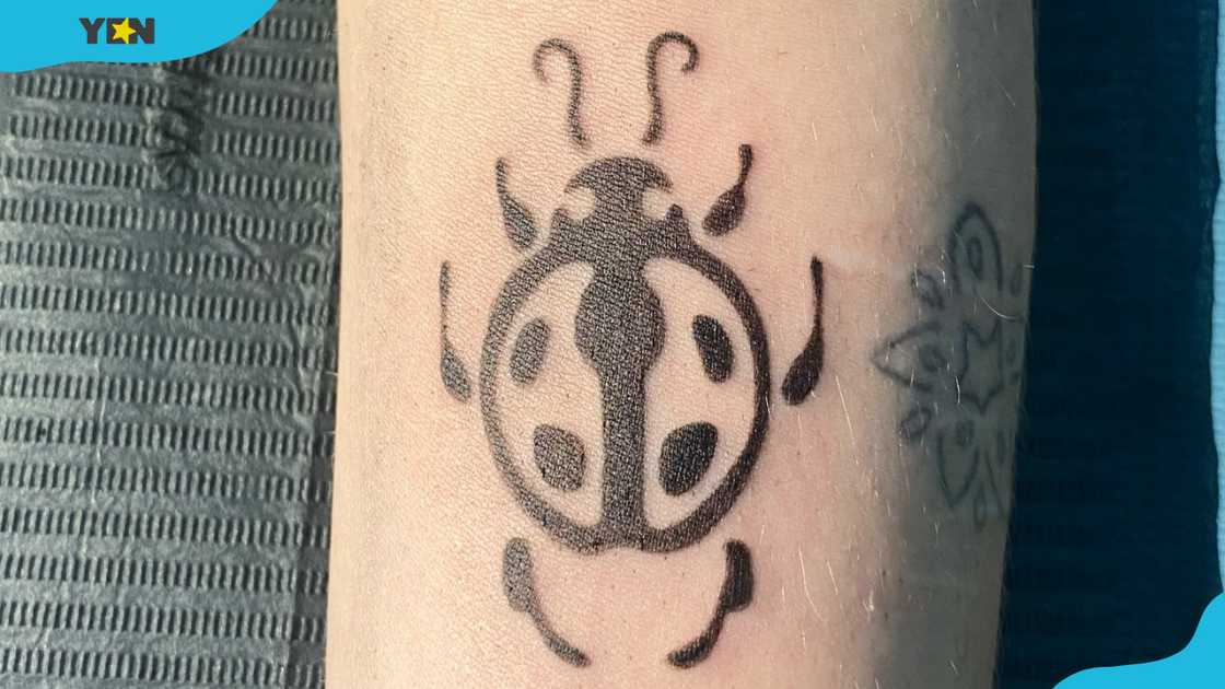 A minimalist black ladybug tattoo featuring abstract legs and spots