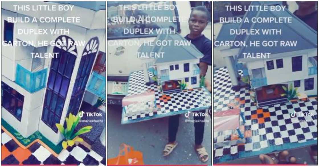 12-year-old boy builds mansion from carton box 12-year-old boy builds mansion from carton box