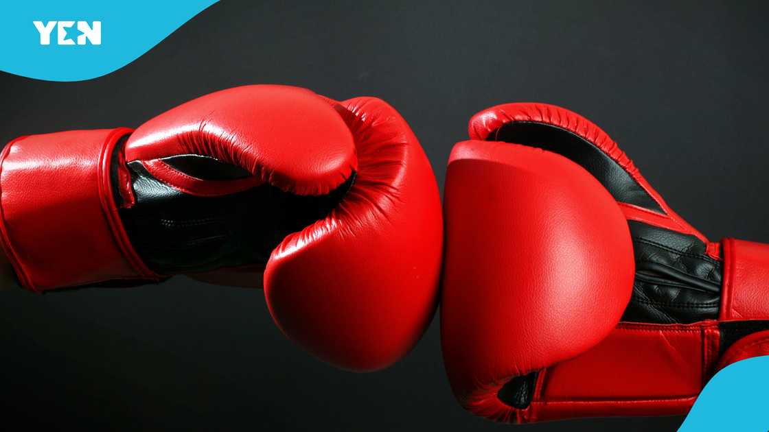 Paul McCullagh Jr, Belfast boxer, Irish boxer dies, boxing news Ireland, young boxing star death, Paul McCullagh Jr death at 25, Irish boxing community mourning, Ulster Elite champion Paul McCullagh