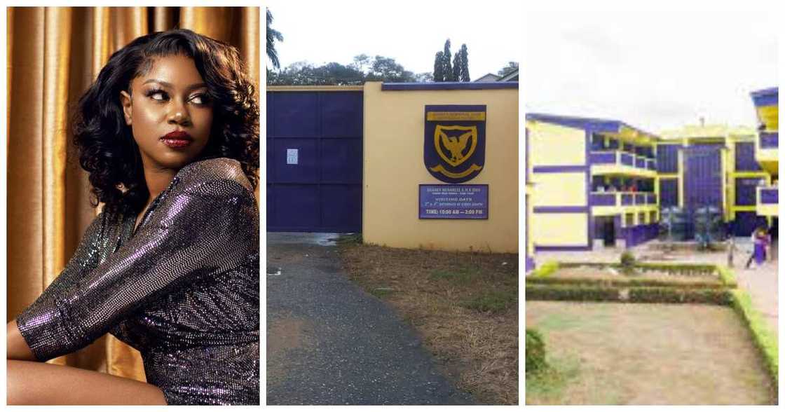 Yvonne Nelson's SHS Yvonne Nelson's SHS