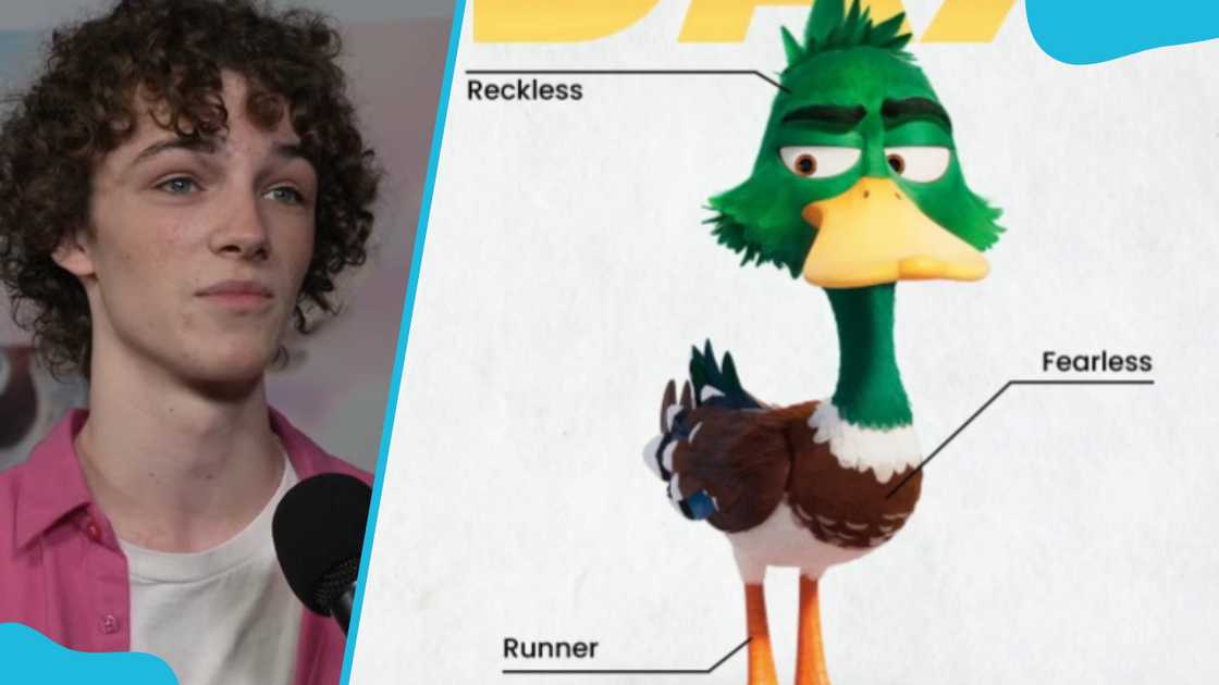 Dax Mallard from the Migration film Dax Mallard from the Migration film