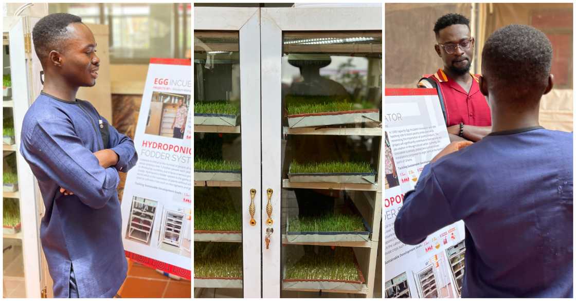 Wisdom the boy from North who has started built incubators Wisdom the boy from North who has started built incubators