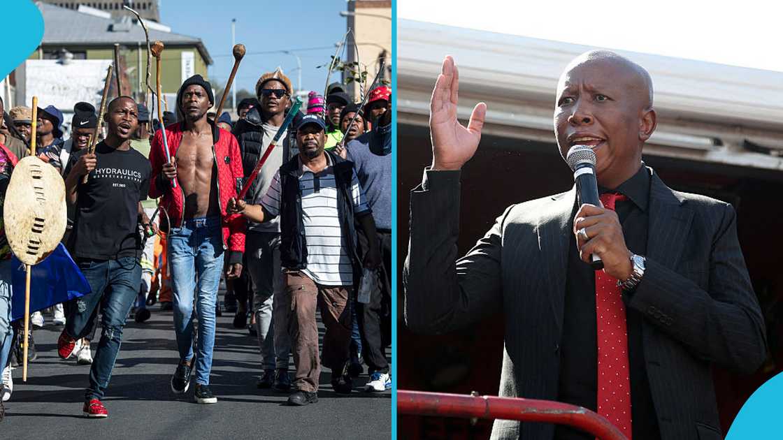 Julius Malema, Defends Ghanaians, Xenophobic Tensions, South Africa, Xenophobia