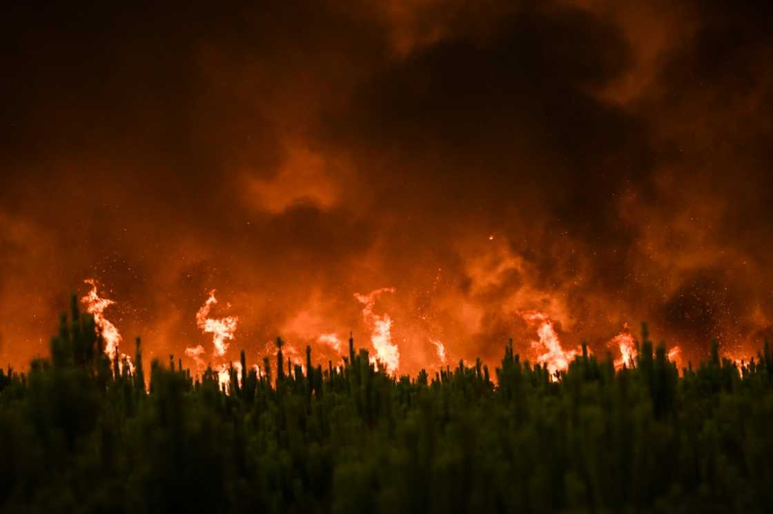 2021 was one of the worst years for forest fires since the turn of the century