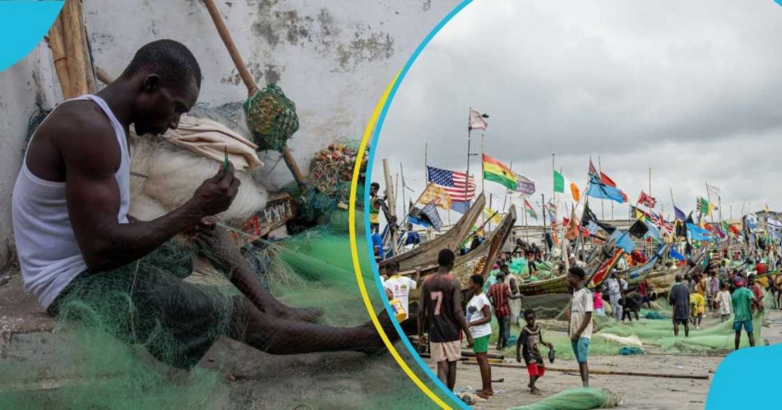 Fishermen, western region, fish, fishing season Fishermen, western region, fish, fishing season