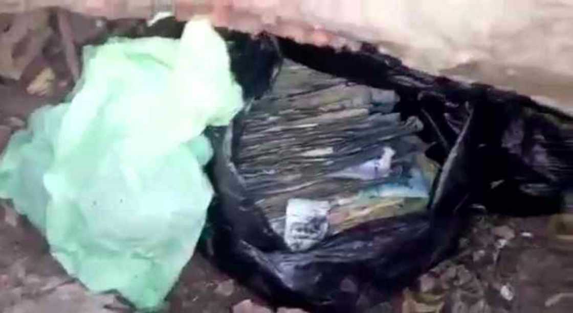 Widow loses life savings to termites after hiding money under firewood Widow loses life savings to termites after hiding money under firewood