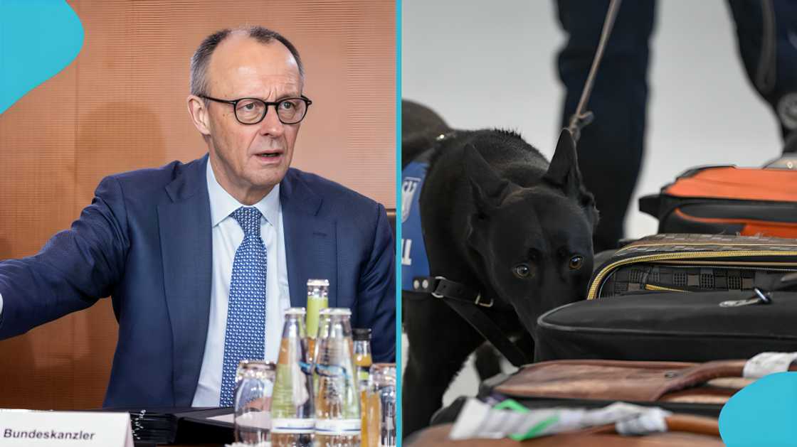 German Chancellor, President, US, Entry, Port, Food, Items, 2026 German Chancellor, President, US, Entry, Port, Food, Items, 2026