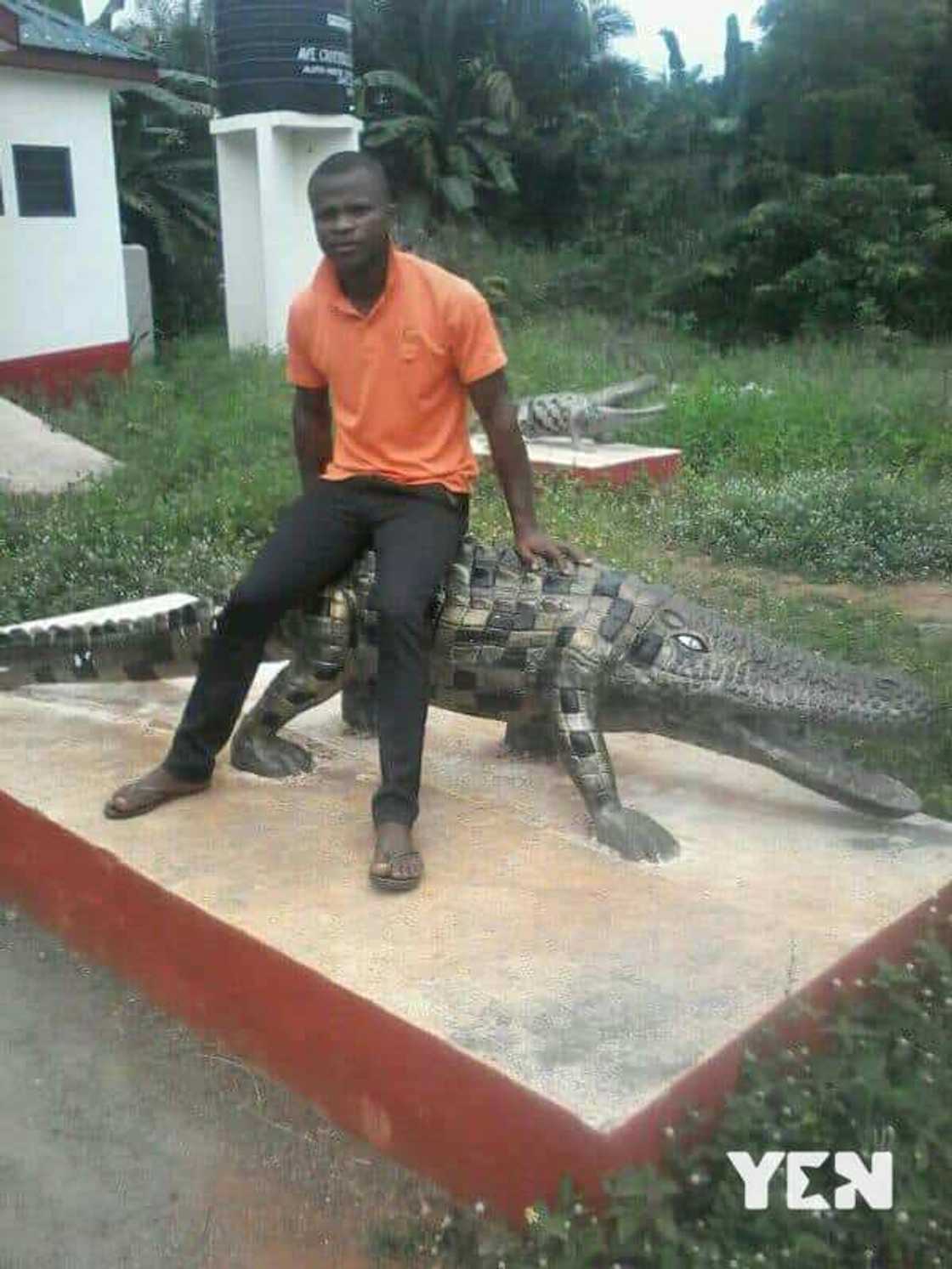 People & Places: A look into Volta region's Ave Dakpa Crocodile pond with friendly crocodiles (photos)