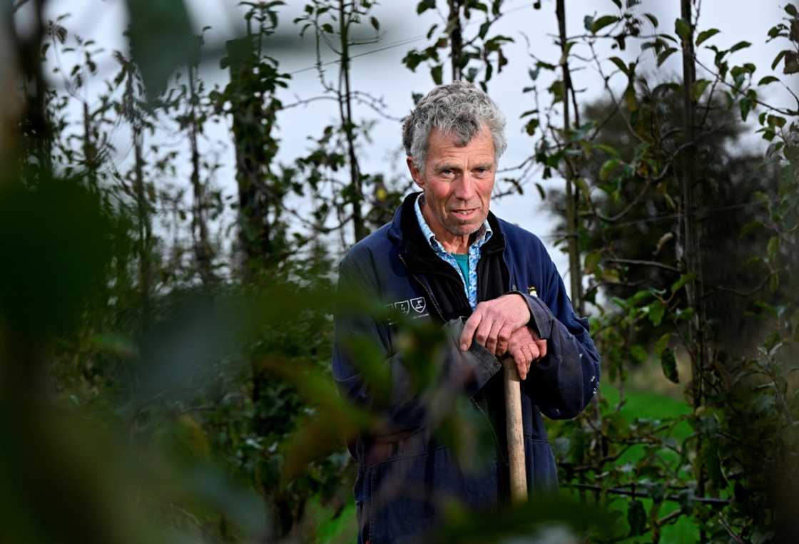 Farmer Pieter Glas is among many who says he feels as remote from the Dutch government as his Eikemaheert farm is from the seat of power in The Hague Farmer Pieter Glas is among many who says he feels as remote from the Dutch government as his Eikemaheert farm is from the seat of power in The Hague