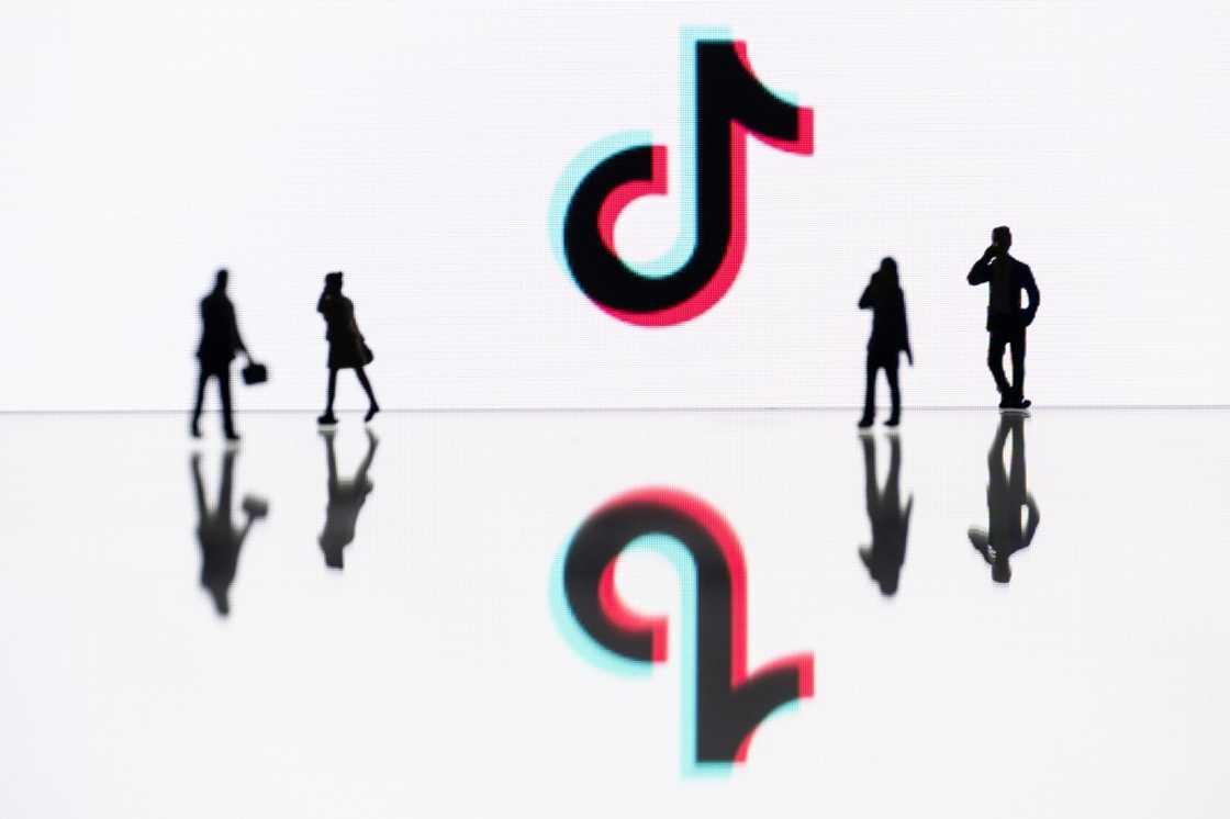 TikTok has 134 million active users in the European Union TikTok has 134 million active users in the European Union