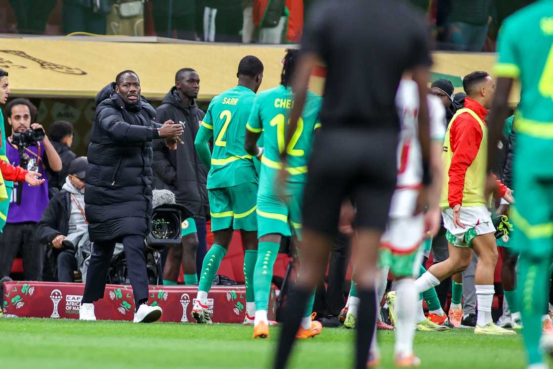 Pape Thiaw suspension, Pape Thiaw Senegal, Pape Thiaw AFCON final, Senegal beat Morocco, AFCON 2025