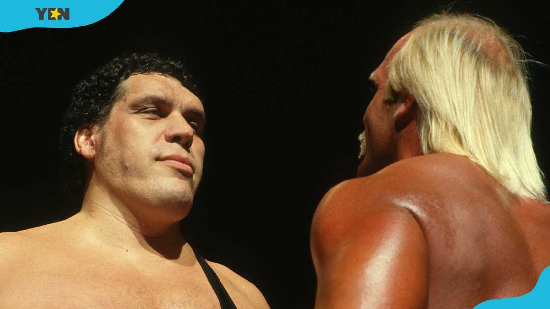 Andre The Giant faces off with Hulk Hogan in 1987