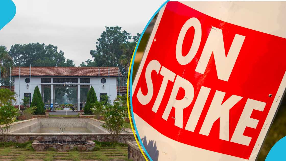 University strike University strike