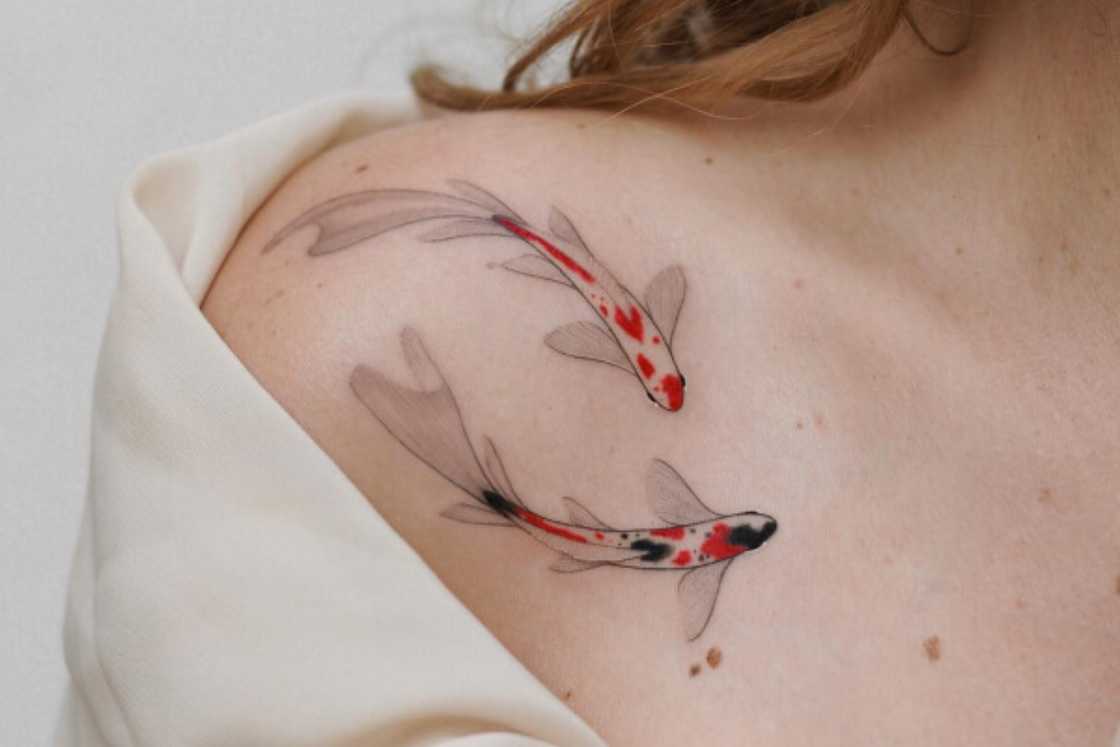 Swimming red and black Koi fish shoulder tattoo Swimming red and black Koi fish shoulder tattoo