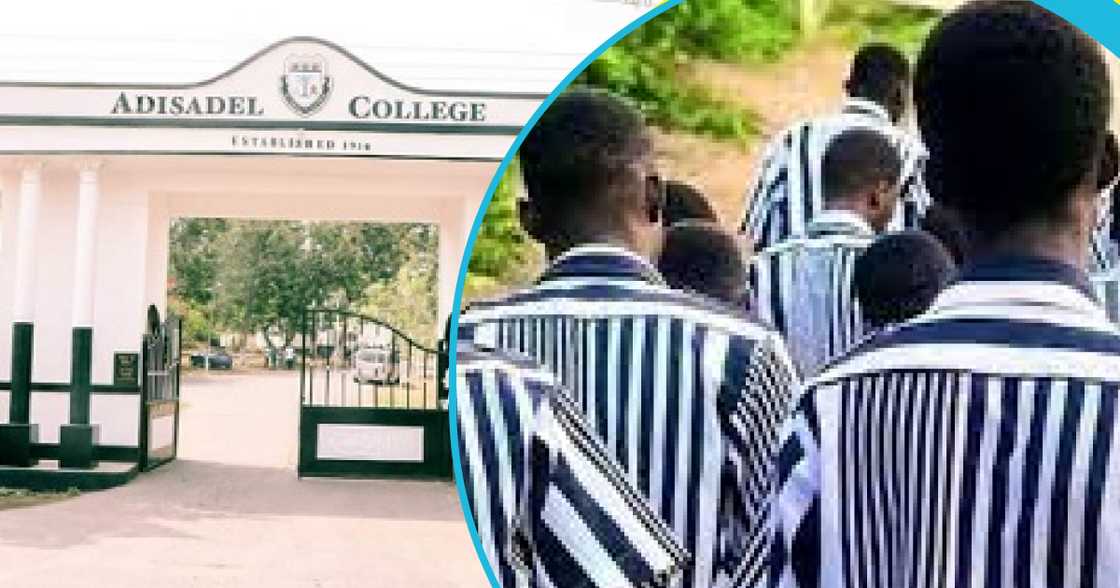 Photos used for the purpose of this story. Photos used for the purpose of this story.