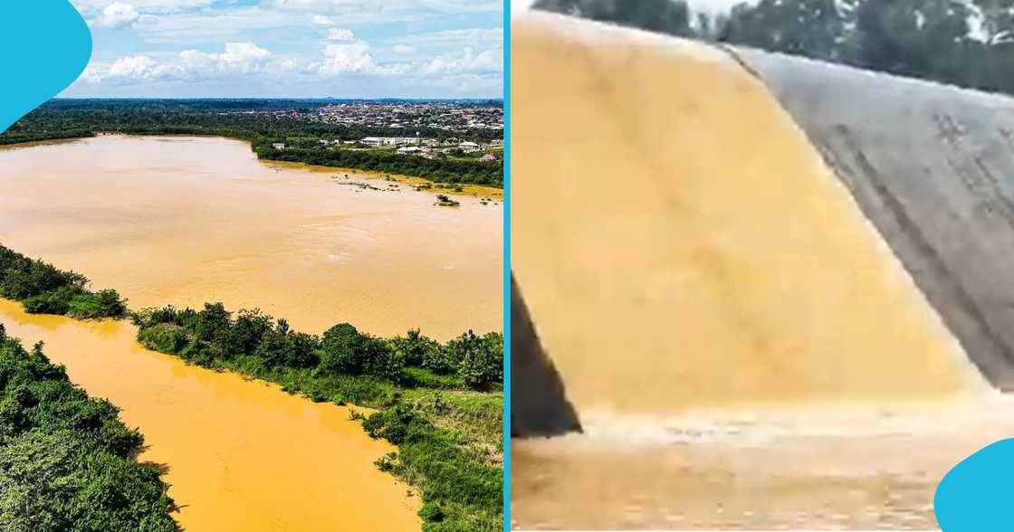 Ayensu river, agona east, galamsey, pollution, galamsey pollution, ghana, wildlife Ayensu river, agona east, galamsey, pollution, galamsey pollution, ghana, wildlife