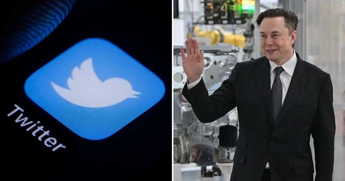 Business News, Twitter shares, Elon Musk announces 9% stake, in social media platform Business News, Twitter shares, Elon Musk announces 9% stake, in social media platform