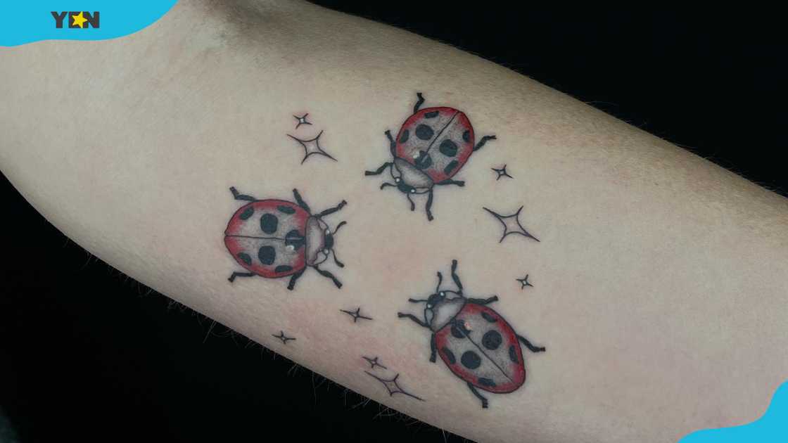 Three small ladybug tattoos surrounded by tiny star-like sparkles