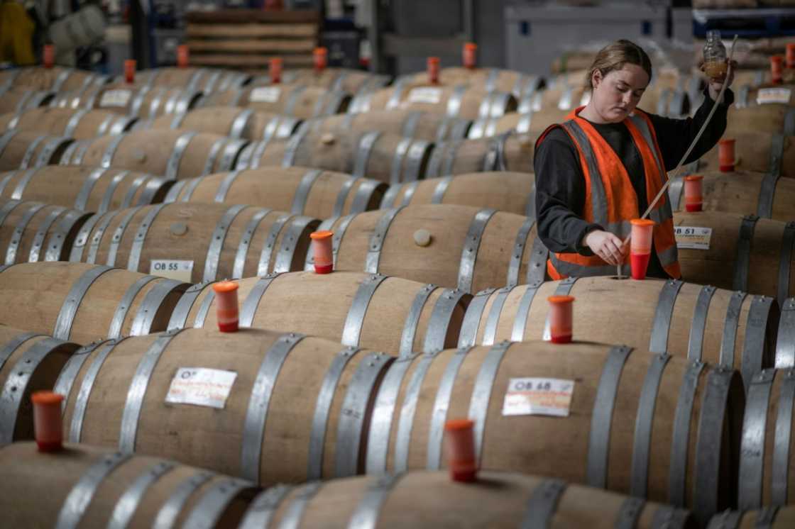 The rapid pace of climate change could see Britain planting grape varieties currently grown in southern France after 20 years The rapid pace of climate change could see Britain planting grape varieties currently grown in southern France after 20 years