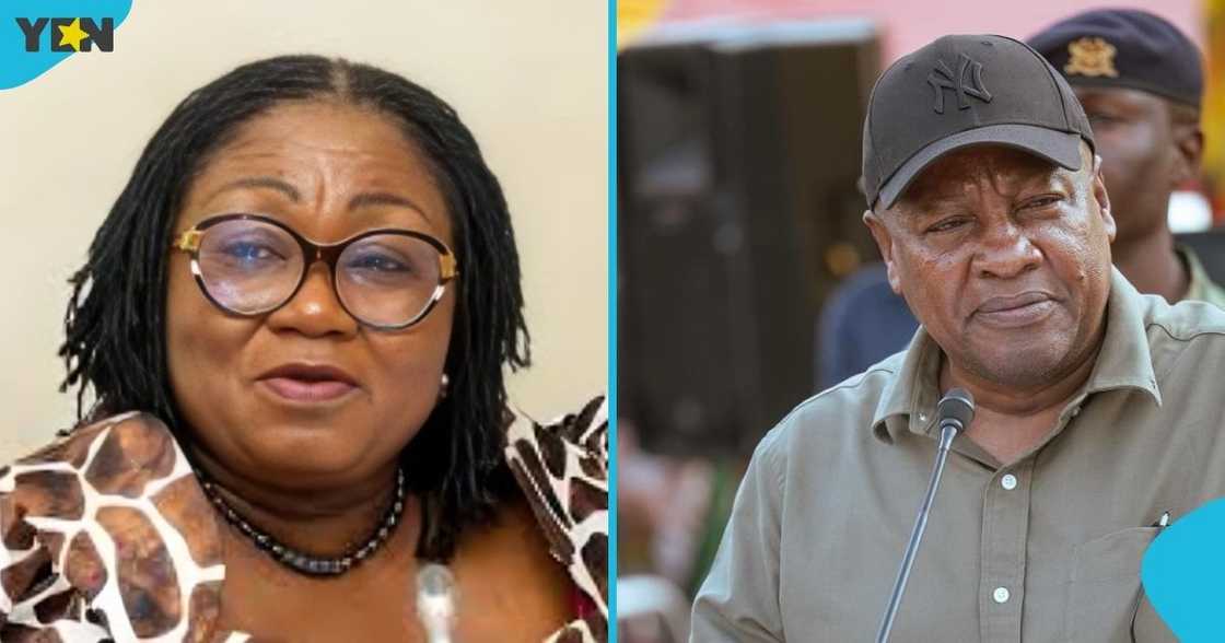The Minority caucus, Parliament of Ghana, Deputy Majority Leader, Patricia Appiagyei, new taxes, economic hardship, President John Mahama