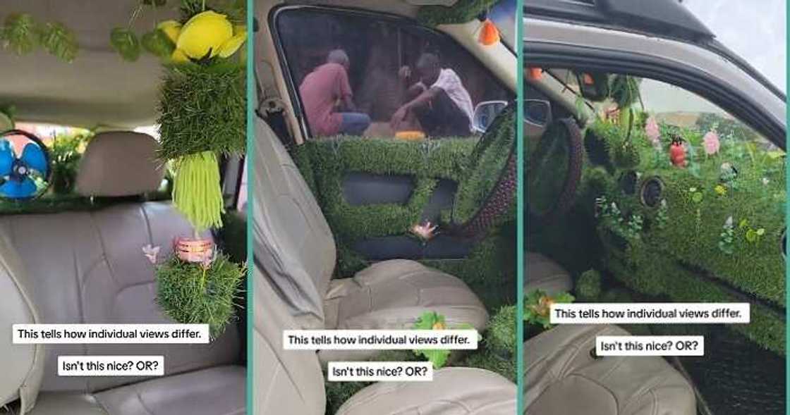 Man uses grass to decorate his car
Photo credit: @yabaleftonline/Instagram. Man uses grass to decorate his car
Photo credit: @yabaleftonline/Instagram.