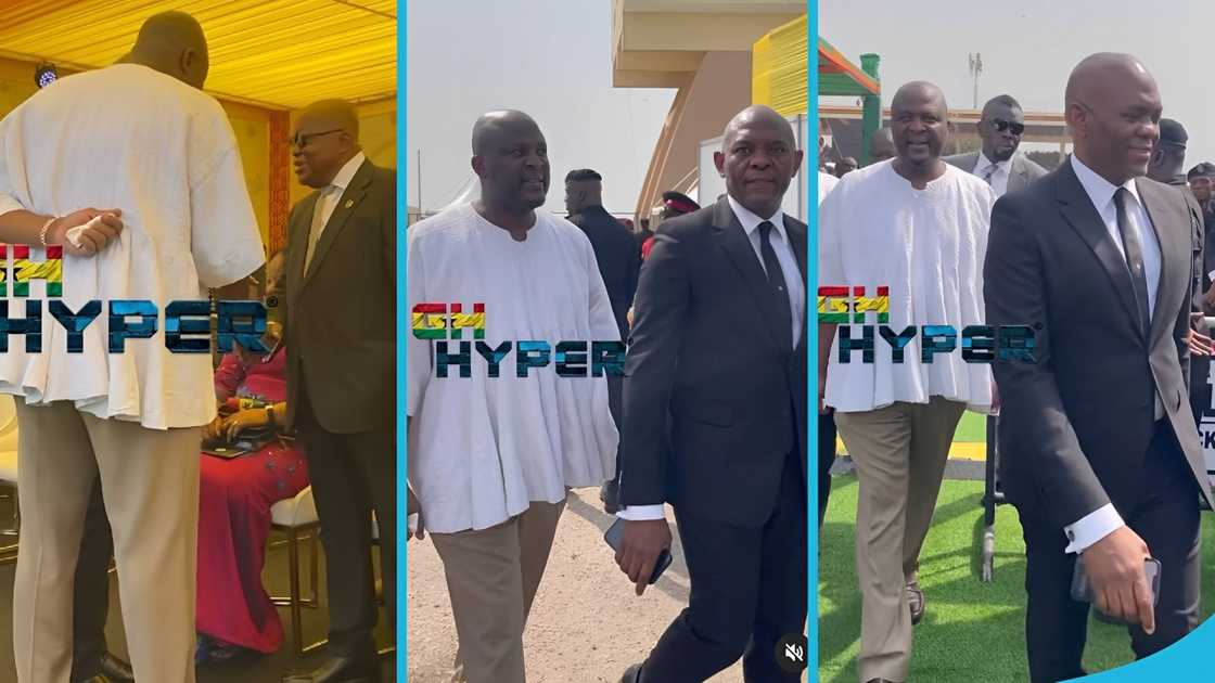 John Mahama's inauguration, Ibrahim Mahama, Tony Elumelu, Ibrahim Mahama and Tony Elumelu, John Mahama, Ghanaian businessman