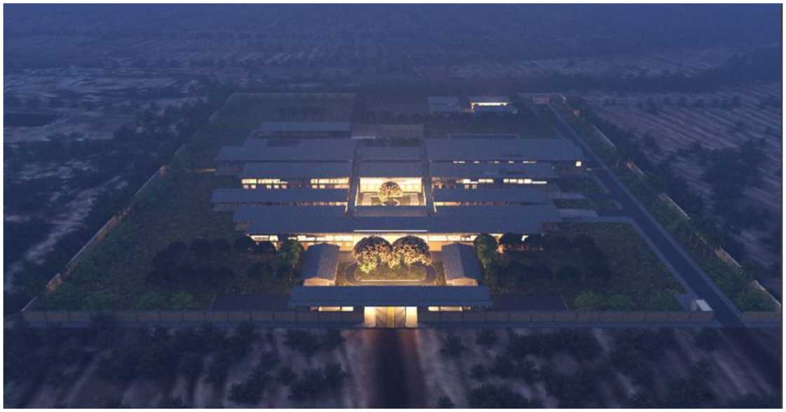 The hospitals will be surrounded by greenery The hospitals will be surrounded by greenery