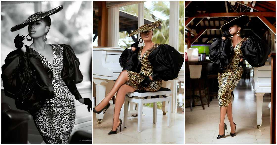 Selley Galley. Selley Galley.