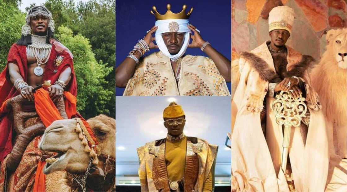 Nana Cheddar Nana Cheddar