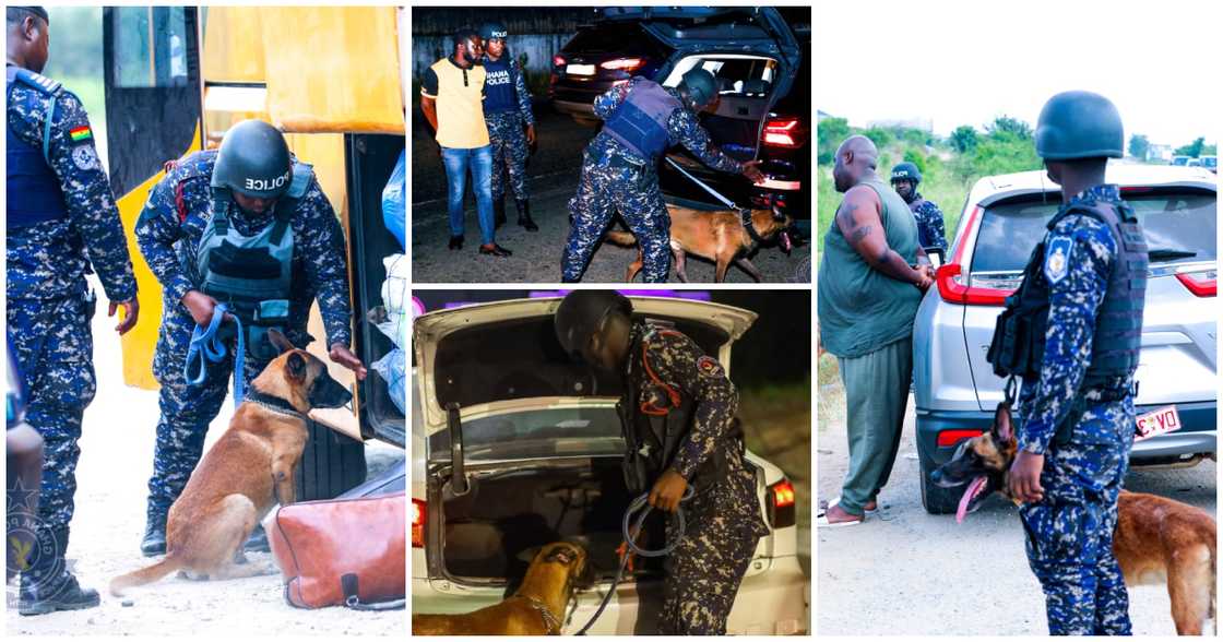 Ghana Police Service has deployed K9 dogs as it steps up security ahead of the New Year season Ghana Police Service has deployed K9 dogs as it steps up security ahead of the New Year season