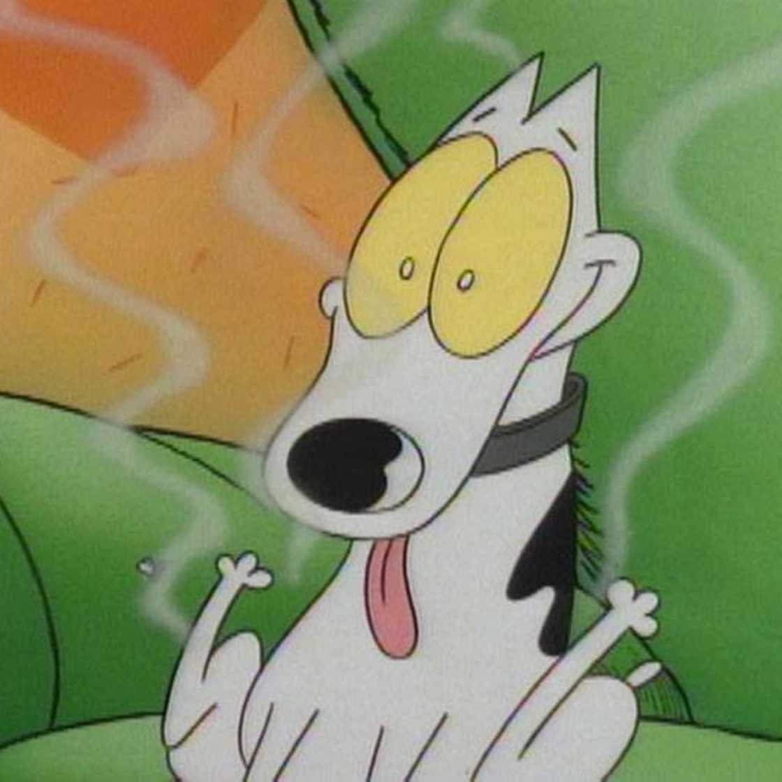 Dog cartoon character Dog cartoon character