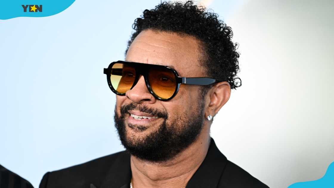 Shaggy in New York