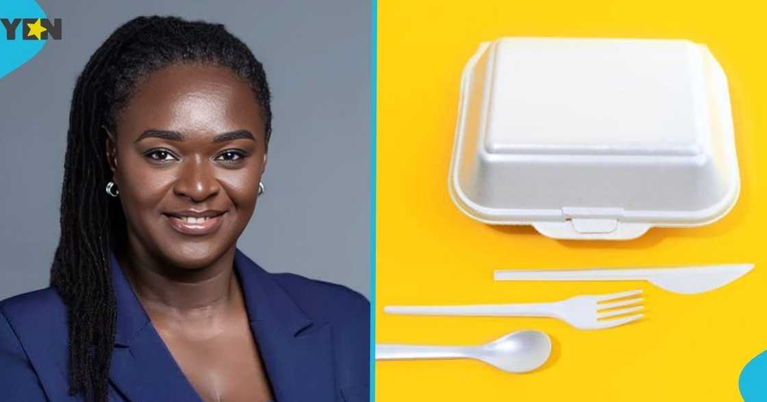 Chief Executive Officer, Professor Nana Ama Browne Klutse, Environmental Protection Authority, EPA, ban polystyrene foam products, takeaway packs Chief Executive Officer, Professor Nana Ama Browne Klutse, Environmental Protection Authority, EPA, ban polystyrene foam products, takeaway packs