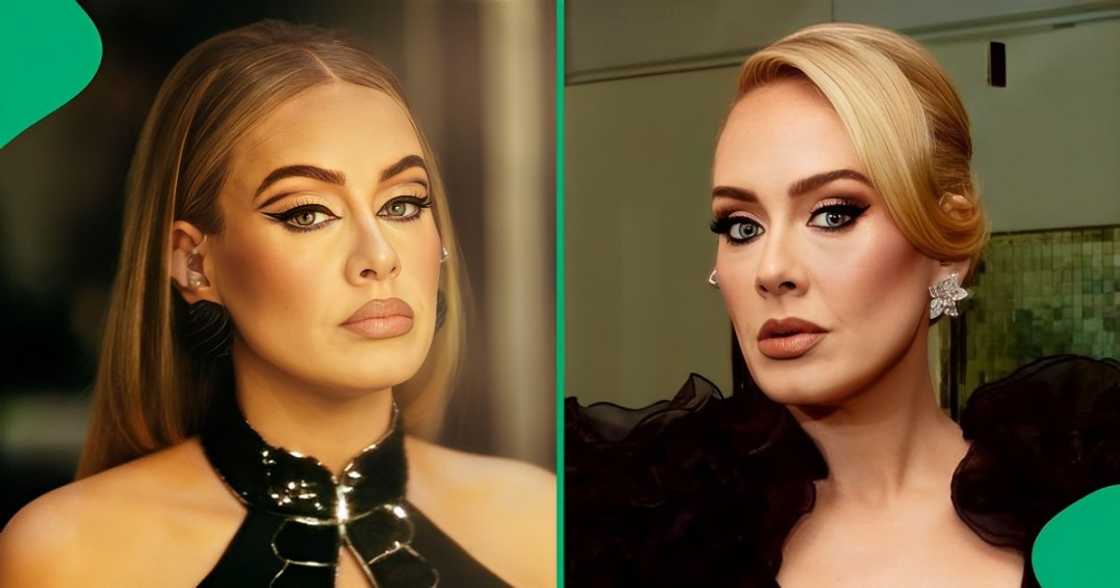 Adele is taking a break from music Adele is taking a break from music