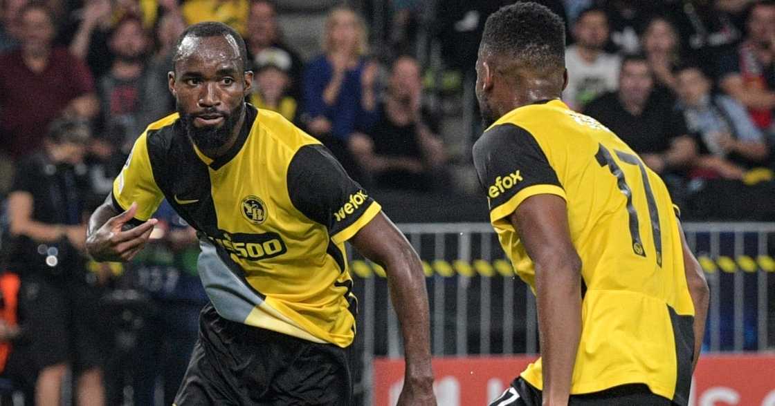 Young Boys Young Boys