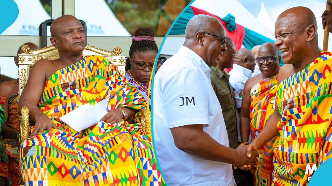 Togbe Afede Speaks In Support Of Mahama’s 24-Hour Economy Policy, Elections in Ghana, NDC and NPP Policies, Ghana's Economy