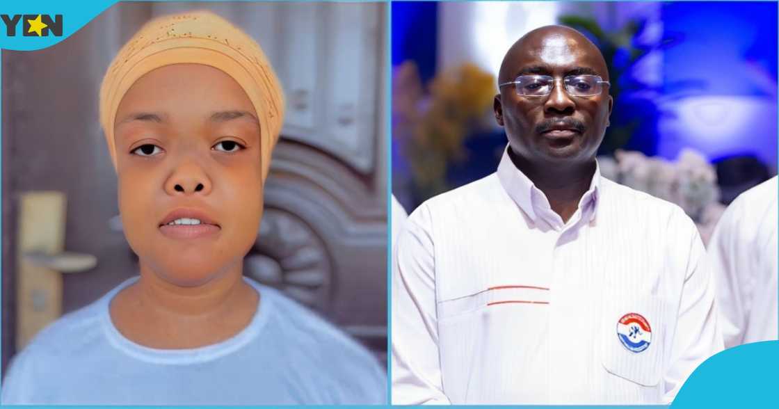 NPP, NDC, Bawumia, Mahama, Election, Free SHS NPP, NDC, Bawumia, Mahama, Election, Free SHS