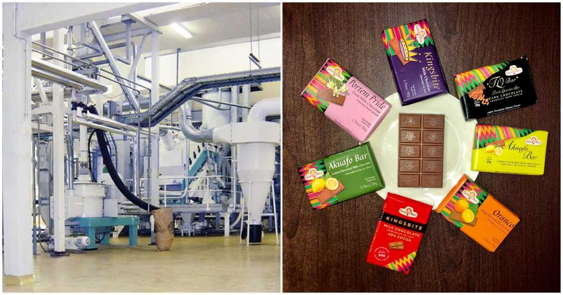 The cocoa-manufacturing plant (left) and the finished chocolate products (right)