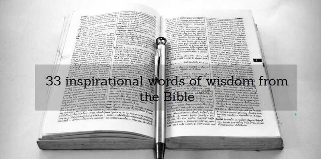 Words of wisdom Words of wisdom