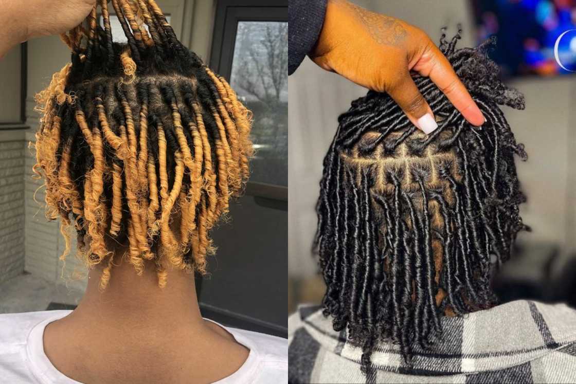 starter locs