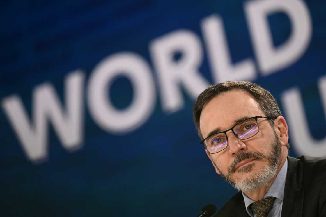 Trump's proposals to hike tariffs and curtail immigration would likely constrain the supply side of the economy and push up prices, IMF Chief Economist Pierre-Olivier Gourinchas says Trump's proposals to hike tariffs and curtail immigration would likely constrain the supply side of the economy and push up prices, IMF Chief Economist Pierre-Olivier Gourinchas says