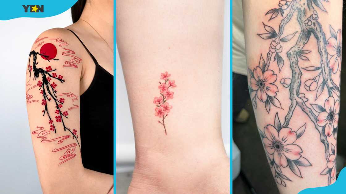 Cherry blossom tree tattoo (L), cherry blossom branch (M), and black and grey cherry blossom tattoo (R) Cherry blossom tree tattoo (L), cherry blossom branch (M), and black and grey cherry blossom tattoo (R)