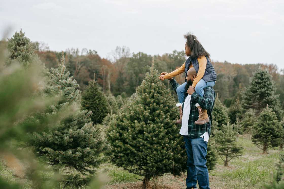 A father carrying his daughter in a forest