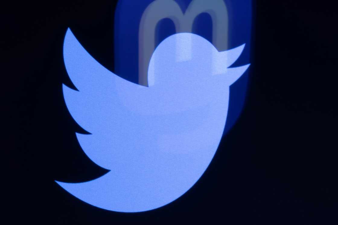 Twitter is changing under new owner Elon Musk