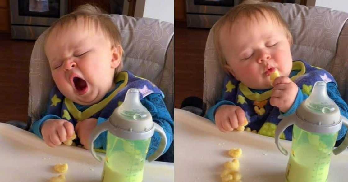 blonde, boy, bottle, milk, green, table, cothes, cute, adorable, clip, sleeping, snoring