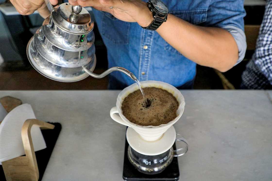 Yemen's specialty coffees are a far cry from the commercial-grade beverage Yemen's specialty coffees are a far cry from the commercial-grade beverage