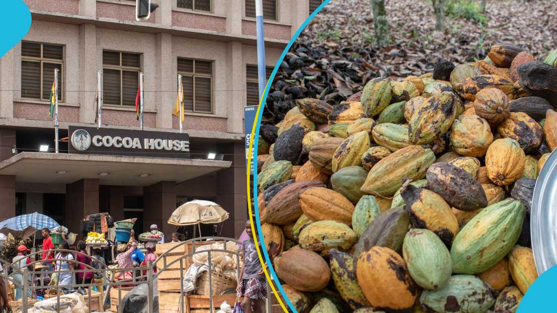 Trump tariffs, Donald Trump, Imports, Taxes, Tariffs, Ghana, Cocoa, Ablakwa Trump tariffs, Donald Trump, Imports, Taxes, Tariffs, Ghana, Cocoa, Ablakwa